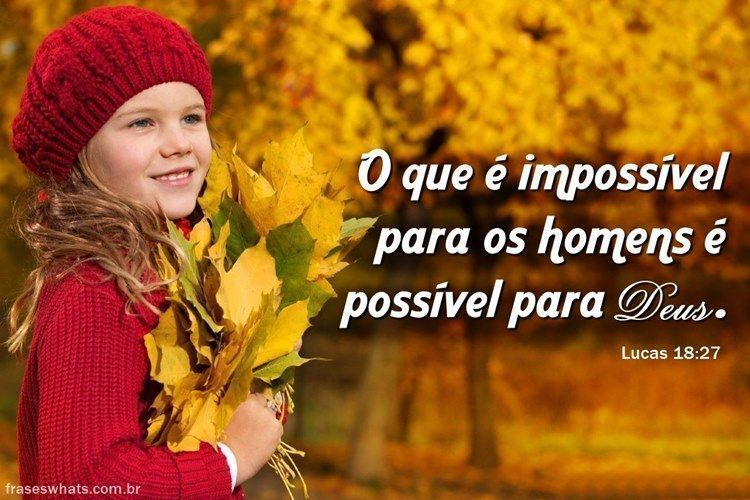 #QuintaDetremuraSDV