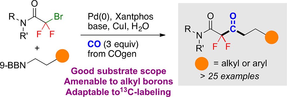 Our recent paper in ACS Catalysis dealing with the carbonylative coupling of alkyl boron reagents with bromodifluoroacetamides has come out. Congratulations Hongfei, Jakob and Katrine            pubs.acs.org/doi/10.1021/ac…