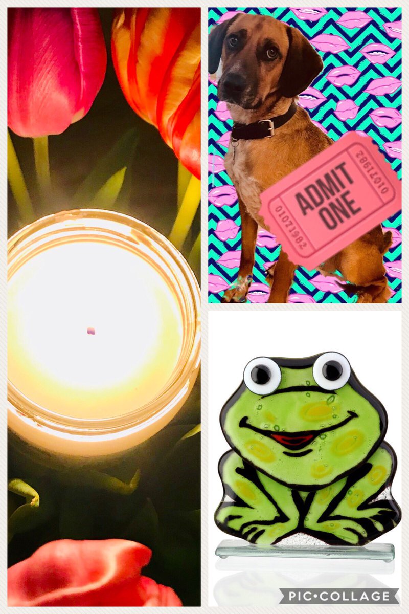 Market day tomorrow at the Red Stables 10-4pm - dogs are welcome! @RahenyBusiness @events_DCC @clontarfIE <a href="/RahenyGAA/">Raheny GAA</a> @events_DCC <a href="/DublinTown/">DublinTown</a>