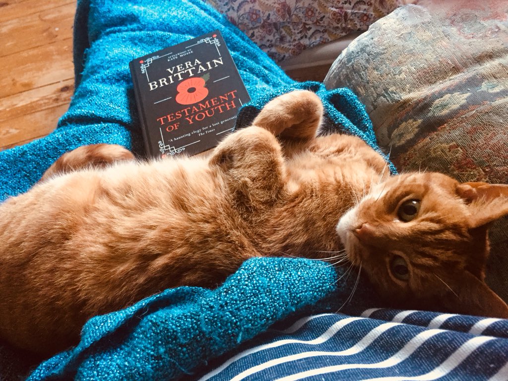 FeralMother44's tweet photo. @myleftfang Yeh! Ollie you is a hard taskmaster!! Squats next, or maybe a nap now! #WorkItWorkIt! https://t.co/olDLhgG1eQ