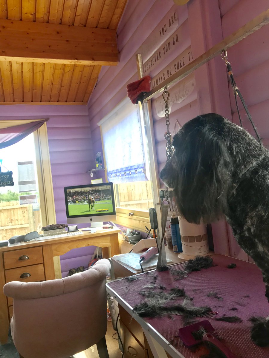 Stanley92Rachel's tweet photo. @BHTRadio watching from down the road in my dog grooming parlour 🐶 will be popping over later 👌🏻 https://t.co/PXjQSWDJ30