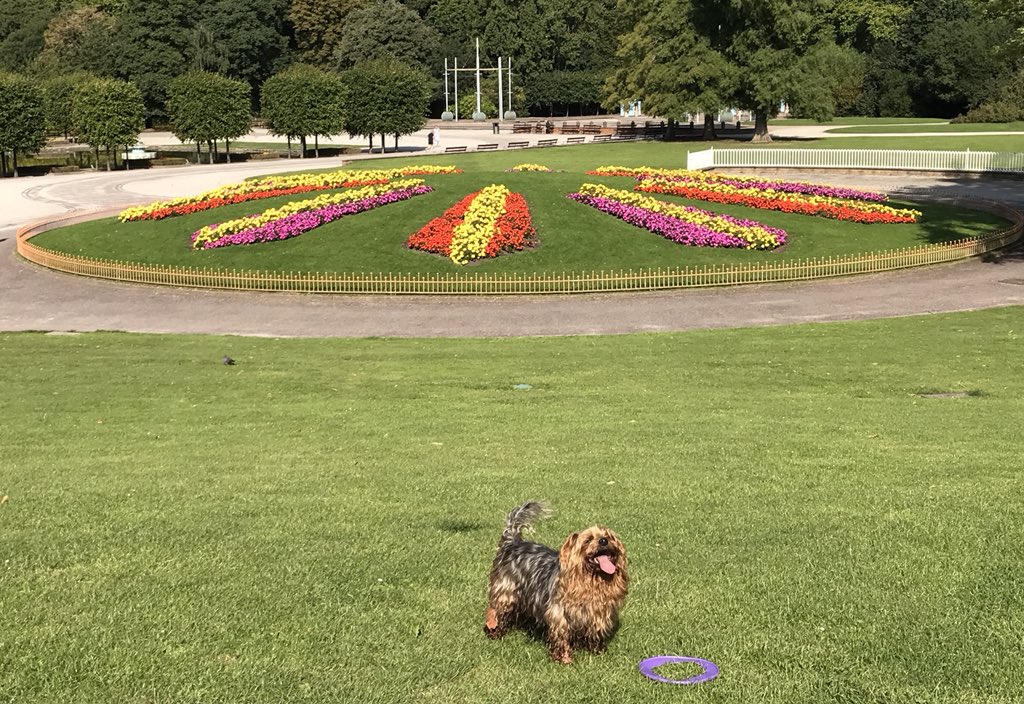 To celebrate the opening of the #FestivalofBritain OTD 1951, here are a few of our festival faves:

Old wooden festival logo and “Net and Ball” carpet at the Royal Festival Hall

Vestiges of the Pleasure Gardens in Battersea Park 

❤️❤️🐾🐾🇬🇧🎡🇬🇧🎡🇬🇧🎡🇬🇧🎡