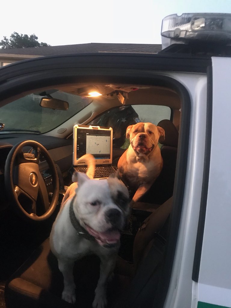 ManateeSheriff's tweet photo. MCSO received a call of 2 vicious dogs. #falselabels https://t.co/0bvbWyUkKD