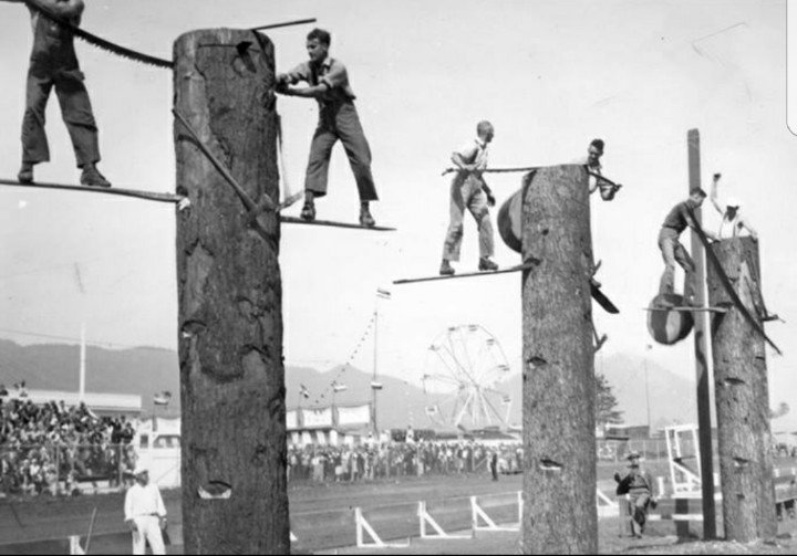 JLMatthewsCo's tweet photo. #tbt  #treeguys  #arborists  #jlmco  #arblife  #treecrew  #treefelling https://t.co/PDnOKskhn0