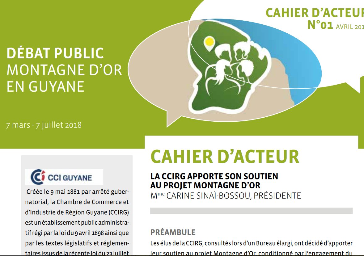 Débat Public Sur Le Projet Montagne Dor En Guyane On