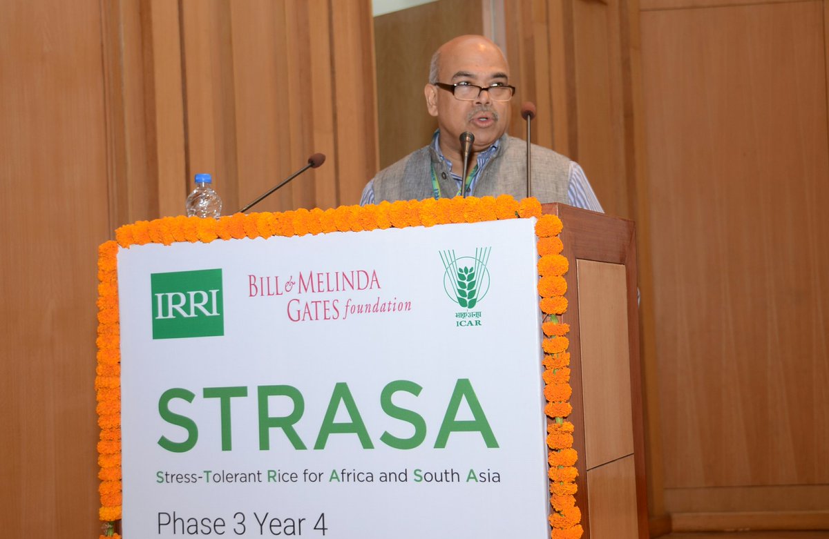 irri's tweet photo. #STRASA Day 4 HIGHLIGHT: Sec. S.K. Pattanayak looks back on the beginning of STRASA coinciding w/ the launch of the Gov't of India's Nat'l Food Security Mission (NFSM), and how this led to the promotion of Swarna-Sub1 & the initiative 'Bringing Green Revolution in Eastern India'. https://t.co/o8pDi6VeRS