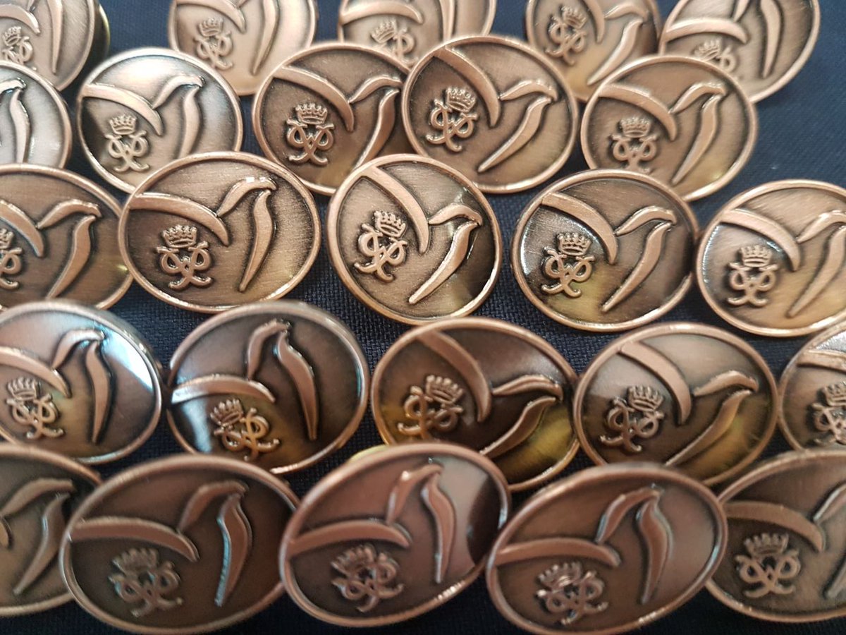 And they earned their Bronze Pins! 70 of our students complete the first rung of their #DofE journey! #GMADofEBronze <a href="/KNargish/">Nargish Khambatta</a> <a href="/DxbModern/">GEMS Modern Academy</a> <a href="/AvinashSurve20/">Avinash Surve</a> <a href="/TraffordGregor1/">Trafford Gregory</a>