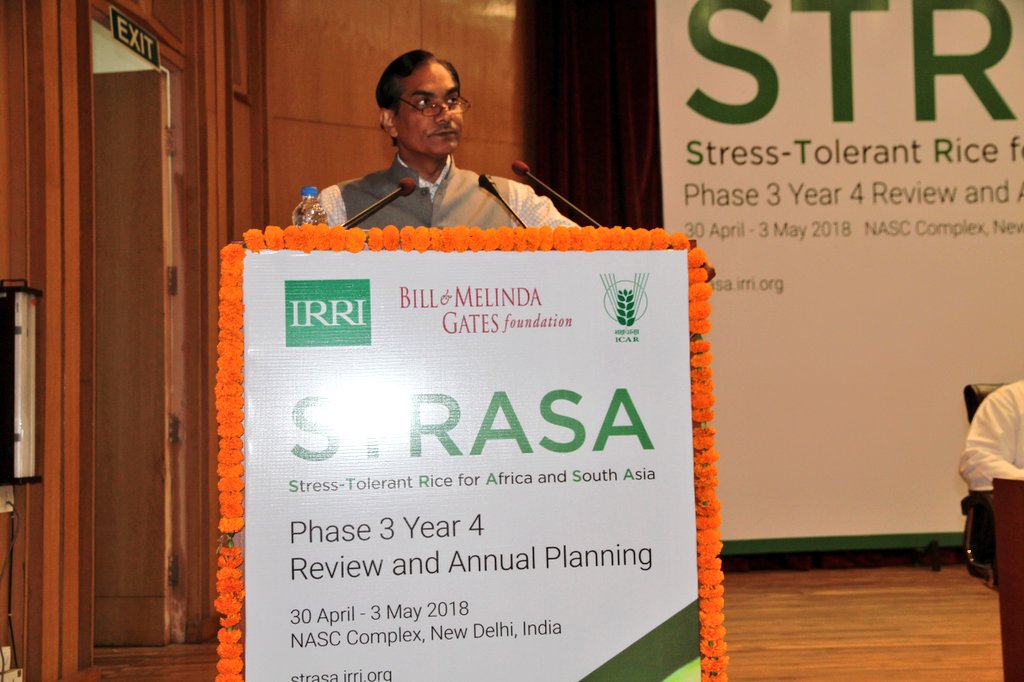 irri's tweet photo. #STRASA Day 4 HIGHLIGHT: Sec. Trilochan Mohapatra shares that loss in #rice is mitigated because of the use of stress-tolerant varieties. He hopes that continued support and success of the proj. could solve problems in South Asia and beyond. https://t.co/MwR4sXCkmi https://t.co/M5DDz6IfeB
