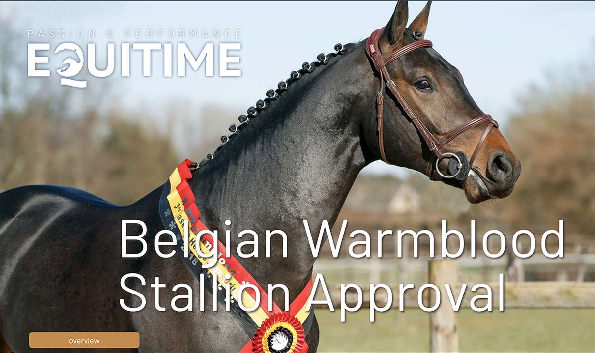 Stallion reports in special edition of EquiTime! 😎👍 belgian-warmblood.com/EN/news/stalli…