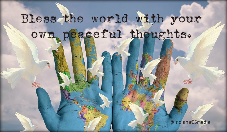 Susan Cosmos tweet media