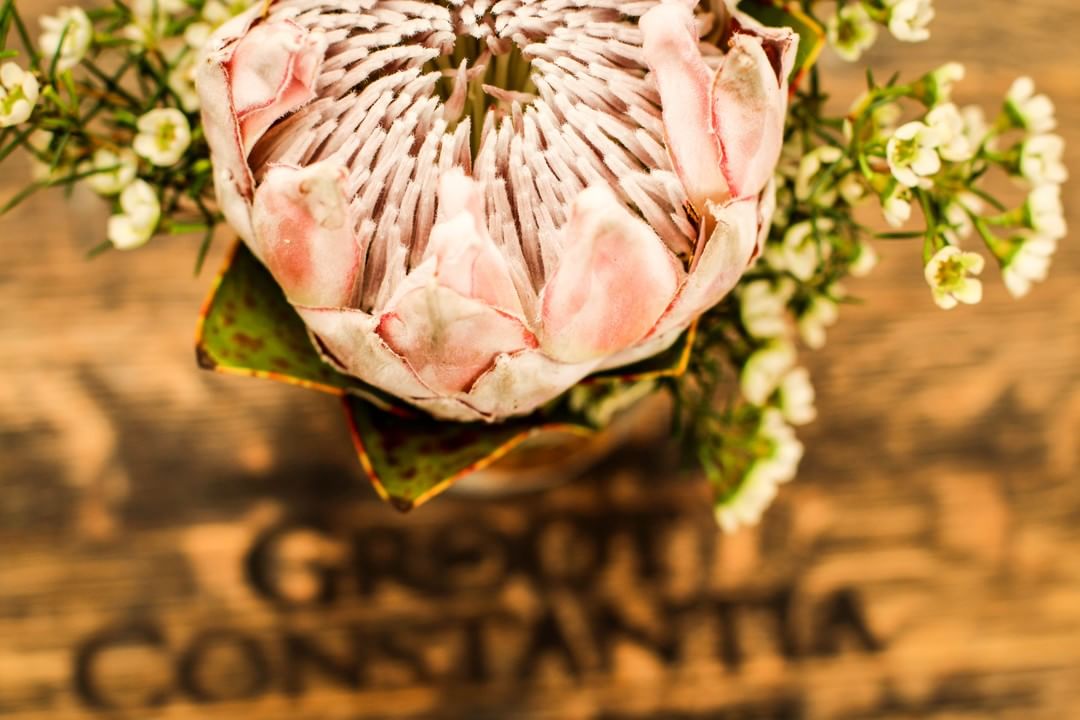 The Alphen Hotel tweet media