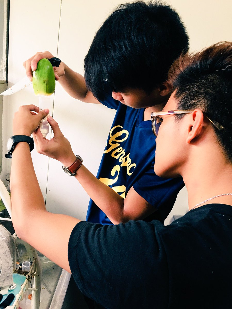 jickersonlado's tweet photo. 03 May 2018 | Another round of coconut sampling of SP students
#Coconut #Aromatic #Endosperm #SpecialProblem https://t.co/BHW5KFhqUs