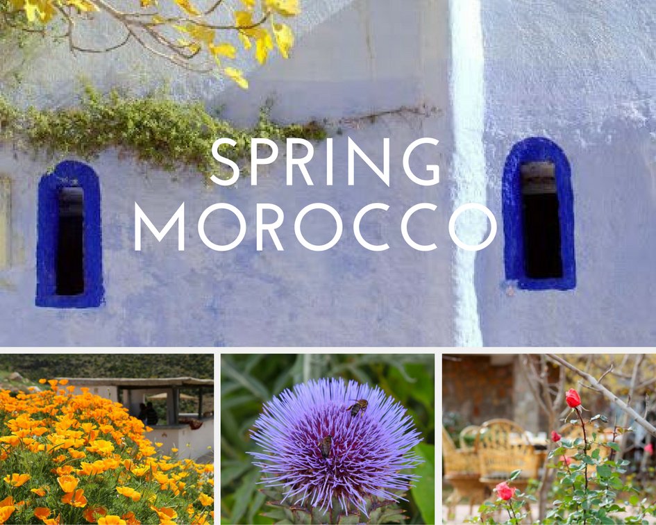 PlanitMorocco's tweet photo. Celebrate Spring #luxurytravel #planitmorocco #Morocco https://t.co/PfKcuFtmy9