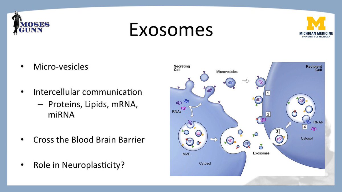 Michigan Surgery tweet media