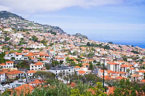 #madeira #Download <a href="/wekhoapp/">Cortocircuito</a> and Look app There!. wekho.com