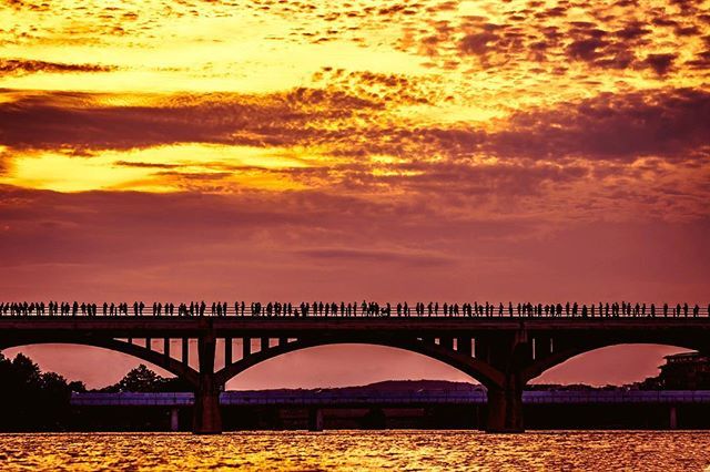 ChrisLammert's tweet photo. Humans being 🌅📷.
.
.
(Higher res photo in story.
Prints or commercial use contact chris@lammert.co)
.
.
#austin #teamcanon #sunset_hub #congressbridge #humanity #moodygrams #illgrammers #seeingcolors #atxlife #trueaustin #instagood #do512 #igaustinte… https://t.co/PokgPzz60T https://t.co/0nxWZRJLyY