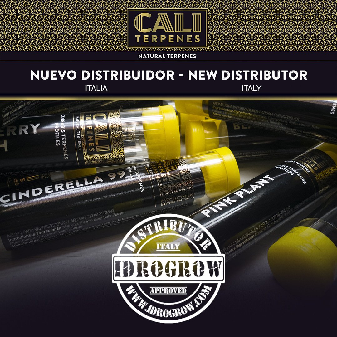 Cali_Terpenes's tweet photo. ⚠️NUEVO DISTRIBUIDOR @Cali_Terpenes en Italia⚠️
➡️ @Idrogrow https://t.co/UJbUcGbeSl
●
⚠️NEW @Cali_Terpenes DISTRIBUTOR in Italy⚠️
➡️ @Idrogrow https://t.co/UJbUcGbeSl
#caliterpenes #cali #terpenes #terpenos #idrogrow #italia #italy https://t.co/JTb4apQXjT