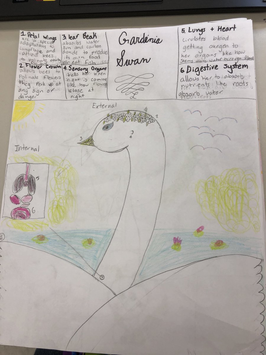 Trisha_Brewer02's tweet photo. Just getting around to posting our #planimals, where plant parts and human organ functions collide! 🌱 These kids are so creative! #proud @McKitrickElem @TifBehnke @HCPSArea2 https://t.co/1Pf9vI0PEP