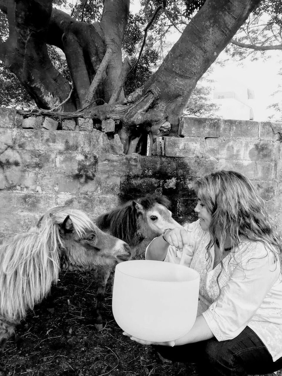 sin_riendas's tweet photo. Gracias por compartir con tanto amor💝 Gaby Valencia.
 
“La vibración del amor ( cuencos de cuarzo) nos eleva a un estado más alto de conciencia.”

Todo es vibración ..
Todos somos UNO...

🍀 Love Vibration. https://t.co/CPwxoYNSEe