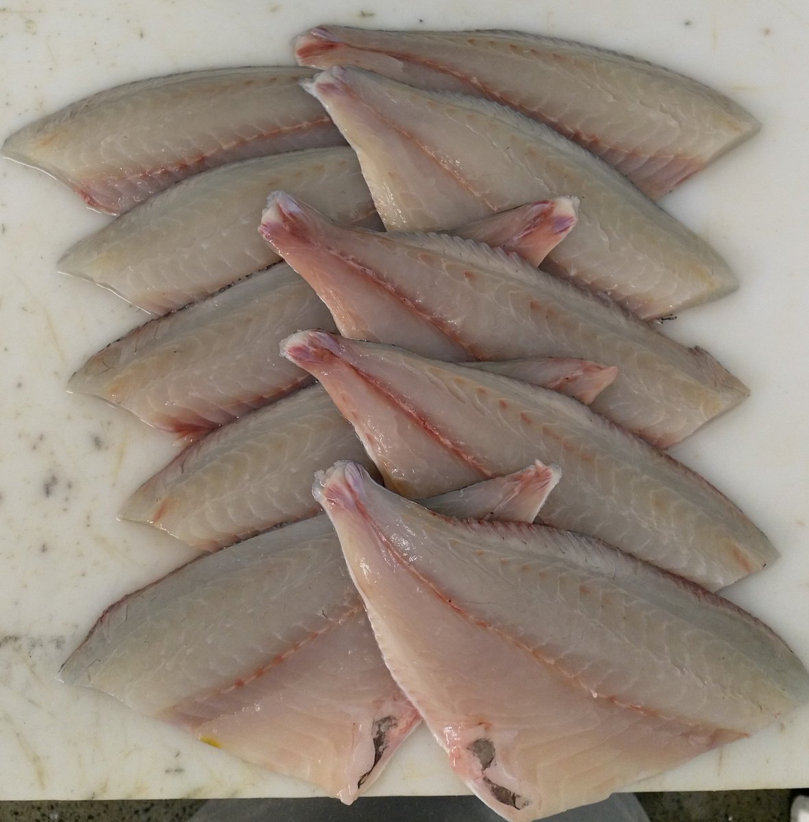 MCBSeafoods's tweet photo. Beautiful bream fillets on their way to one of our customers! #delicious #breamfillets https://t.co/40Wc9sOvfF