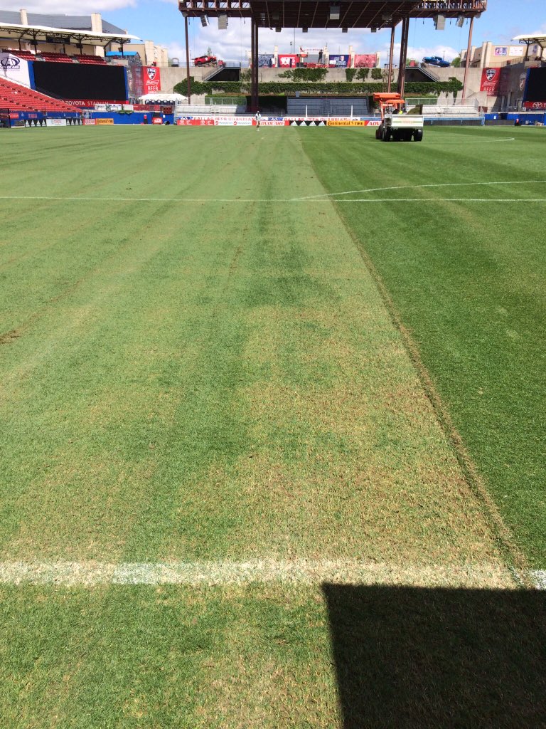 reedag04's tweet photo. In season #UniverseFrazeMowing on stadium pitch 12 days ago. Had 21 days to recover before next match, 9 days to go. Very pleased at recovery and thickness of grass. Not 100% bermudagrass yet but good mix and great start to our transition. https://t.co/bsQLGXsQYr