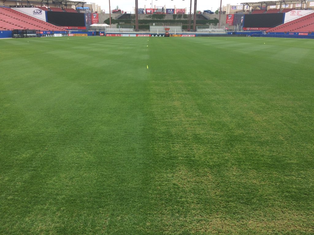 reedag04's tweet photo. In season #UniverseFrazeMowing on stadium pitch 12 days ago. Had 21 days to recover before next match, 9 days to go. Very pleased at recovery and thickness of grass. Not 100% bermudagrass yet but good mix and great start to our transition. https://t.co/bsQLGXsQYr