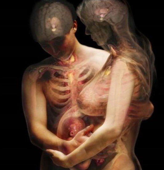 CienciaFe's tweet photo. ¿Cuándo entenderemos que estamos matando el amor?
¿Cuándo entenderemos que, sin pureza,
el cuerpo no vive ni puede generar la vida? https://t.co/UDMNadCUdp