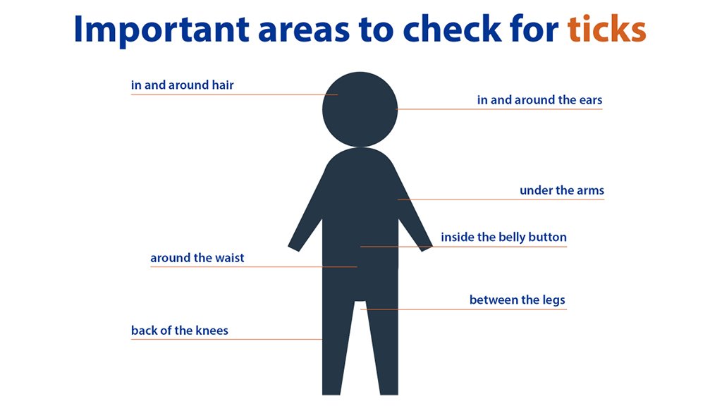UNHExtension's tweet photo. Important places to check for ticks include in and around hair, under the arms and between the legs. Learn more at https://t.co/IqJUk2GTqV #LymeInNH #LymeDisease https://t.co/mq8FO0ZCFM