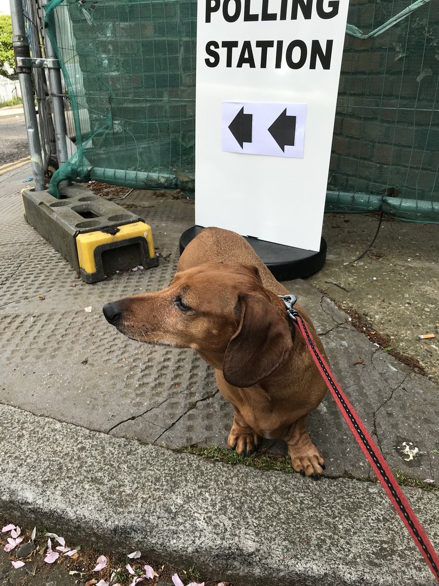 etspr's tweet image. #dogsatpollingstations