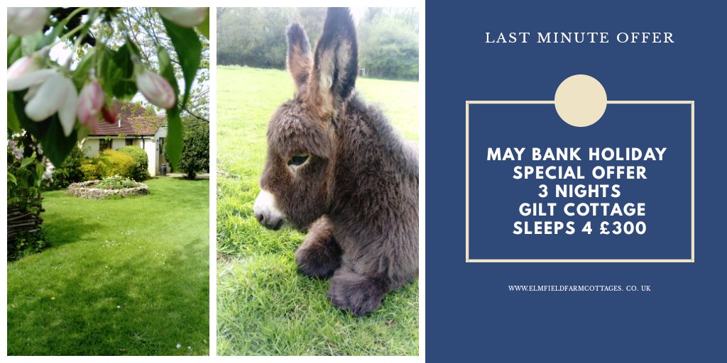 Last minute!! Enjoy May Bank Holiday sunshine at Gilt Cottage, Elmfield Farm. 3 nights £300. #kent #selfcatering #DogFriendly #lastminutedeal #farmholiday