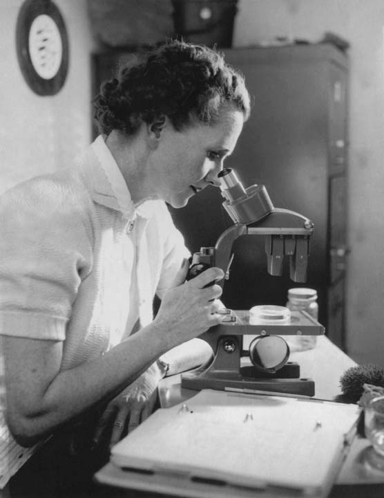 USFWSHistory's tweet photo. #ThursdayThought: "Those who dwell, as scientists or laymen, among the beauties and mysteries of the earth, are never alone or weary of life."
-- @USFWS Biologist/Writer Rachel Carson
#ThursdayMotivation #thursdaythoughts #Thursday #quoteoftheday #quotesforlife #quotestoliveby https://t.co/B2Wn3W0NUc