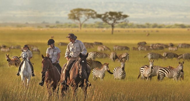 aardvarksafaris's tweet photo. Aardvark Safaris has just been awarded the second prize in the trade stand award for the entire show at Badminton Horse Trials. Join us for fizz and to plan your dream safari and beach holidays in the Country Living Pavilion, stand 4. See you there! @bhorsetrials #MMBHT #MMBHT18 https://t.co/IzT5xMJdJk