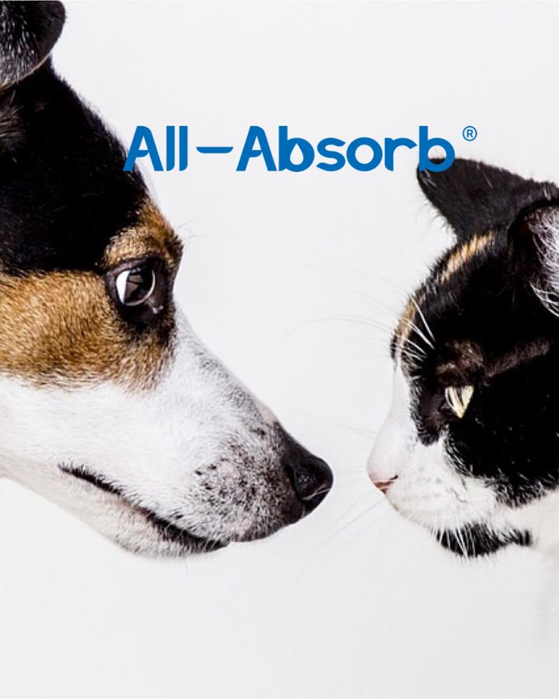 AllAbsorb's tweet photo. Psst... Did you hear? All-Absorb has Cat Products too! https://t.co/nZrAwzvZ23 #allabsorb #all-absorb #trainingpads #housetraining #pottytraining #peepads #dog #dogs #puppy #puppies #Cat #cats #kitten #kittens #shop #shopping #products @Chewy @amazon #share #follow #followus https://t.co/rfIbx93JoO