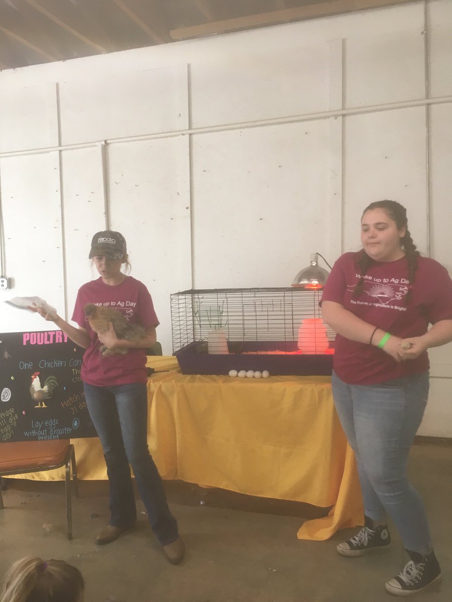 issbradyjohnson's tweet photo. Wake Up to Ag Day is what’s happenin’ here!  Kindergarten students learning agriculture from high school students.   If you enjoy a meal today thank a farmer.   @isschools @sihsffa  @NorthIredellHS  @WestIredellHigh  @lakenormanhigh  @StatesvilleHigh https://t.co/gJijejrLh4