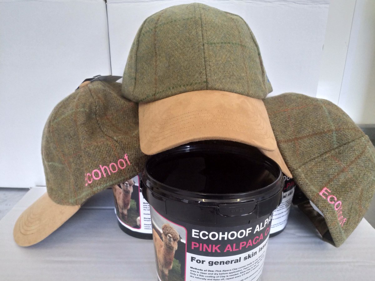 Ecohoof's tweet photo. Alexandra sporting her new #EcohoofCap buy 1 tub of #PinkAlpacaClay and receive a cap free, #alpaca #PinkAlpacaClay a must for every Alpaca owner https://t.co/vIjfvhmpNQ
