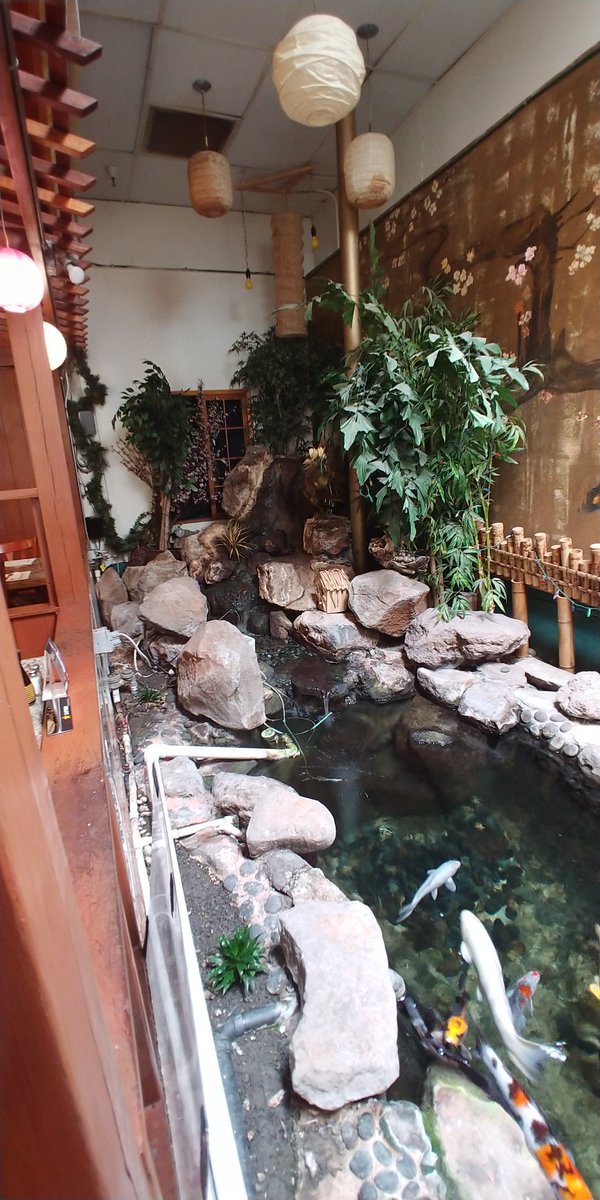 SpicyMori's tweet photo. Yo this resturaunt is hella cool https://t.co/hx2j4LrtC3