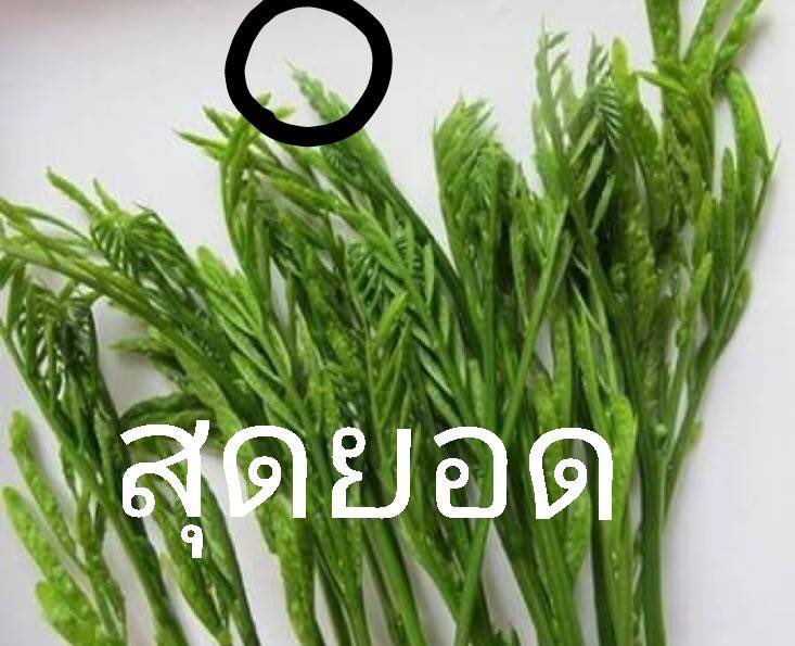 ៵ᱸ𓊆☁️𓏤@อริน𓏤 ♡𐬹✩ᱸ៵ tweet media