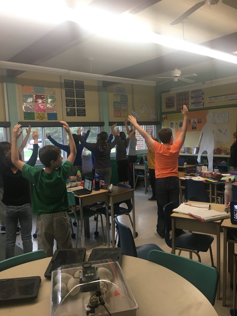 loro1064's tweet photo. Our grade 4/5 class dancing with the National Ballet of Canada! #bulldogproud #dancingwithmyfriends @GEDSB https://t.co/nQryzAWUV6
