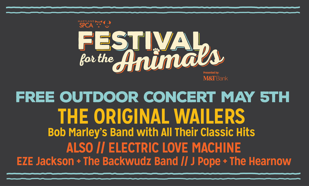 Stay Classy Canton tweet media