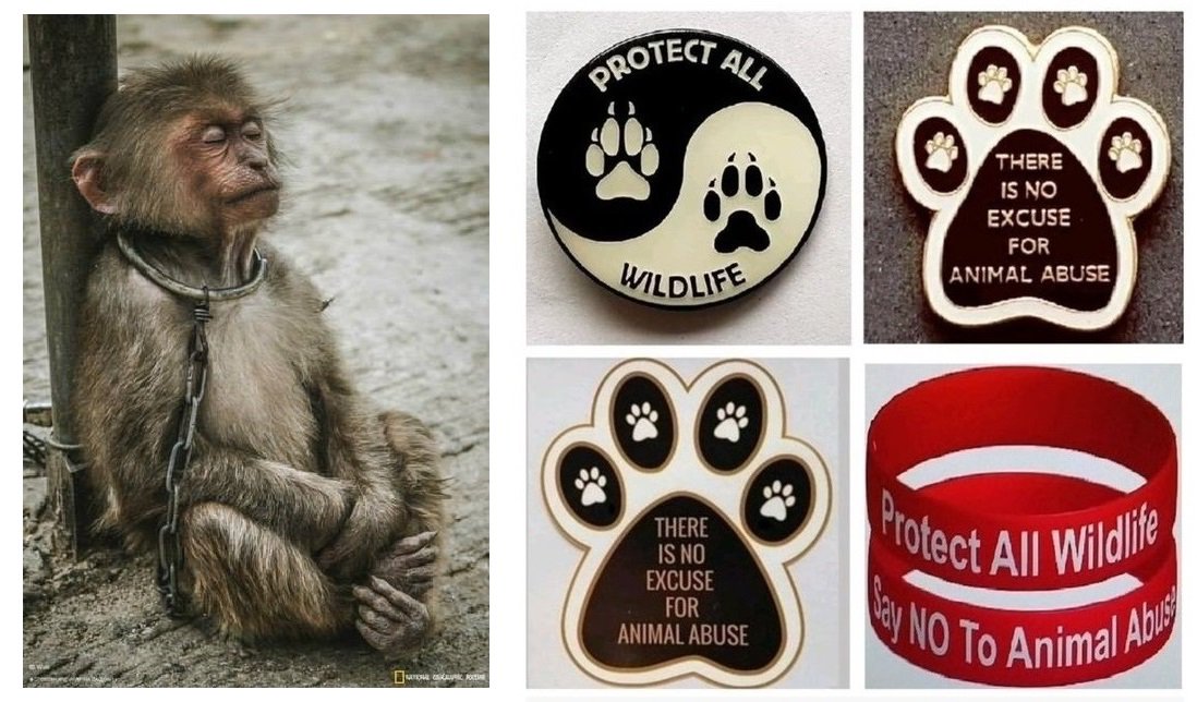 Protect_Wldlife's tweet photo. "The greatest privilege that comes with freedom of speech is using your voice for those who don't have one" @RickyGervais.

Show EVERYONE that YOU speak up for #wildlife with a PROTECT ALL WILDLIFE Badge, Car Sticker, Wristband or Conservation Pack from https://t.co/eonprRXSCT https://t.co/VL9BKCm0rj