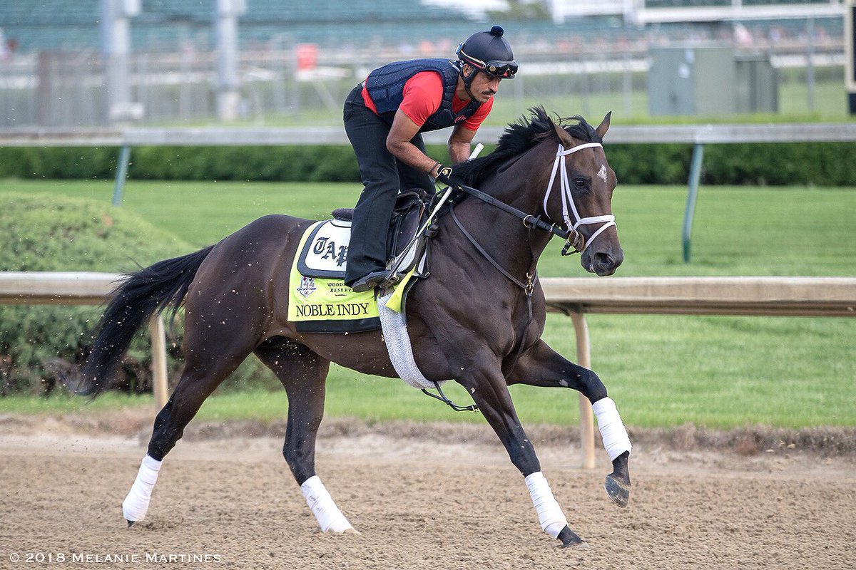 <a href="/WinStarFarm/">WinStar Farm</a> Noble Indy at the track this morning. #KentuckyDerby #RunForTheRoses 🐎🌹