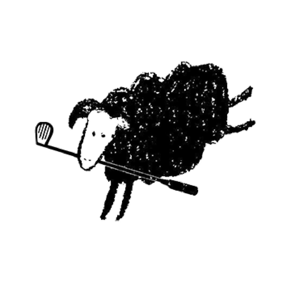 Summer Sheep is coming...