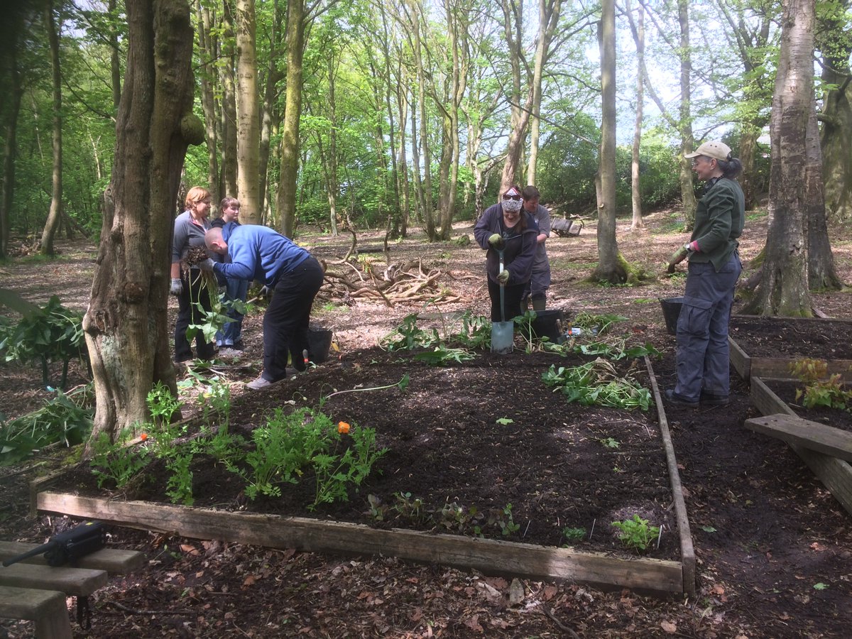 RHSBridgewater's tweet photo. We've created our very first flower beds @RHSBridgewater!  Our volunteers are salvaging plants from across the site and stockpiling them here until they can be reintroduced to the new gardens. https://t.co/mopUfN8jPp