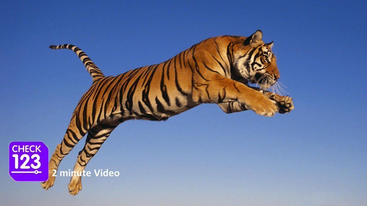 Check123 NATURE tweet media