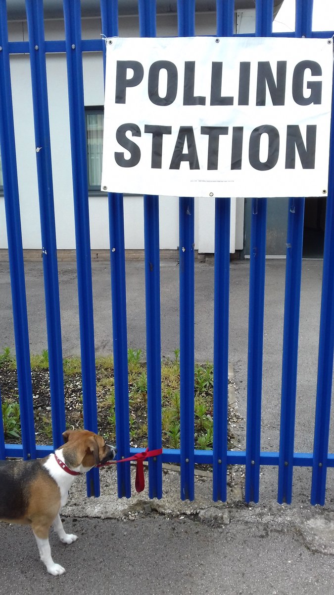 BottleGlassRfrd's tweet photo. Polling day across the land
Your choice, if you're heading to vote
Make sure you check the weather 1st
You'll need a brolly &amp; a coat

Part of a great tradition
One to be proud of in this nation
You can also put the dog on their lead
And let them take you to the polling station https://t.co/mslkWxOUgv
