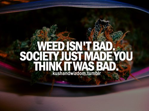 ArmyOfPotheads's tweet photo. #Thursdaze are the new #Frydaze #Stonerfam! So don't be surprised if we #FFBlitz on the #FF'N #FFfest we have a long list this week. Let's begin!

Please give a #FriendlyFollow to:

@Michael57645022
@Kunzitoons
@Calrtipper
@Norstackk
@BoyGiuly
@_jena4n <3
@crazybatmanfan
@thcmed https://t.co/fTlbaHVw2W