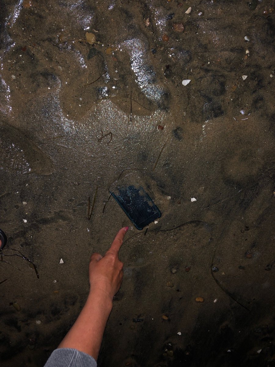 Jennericone's tweet image. Found a Needle in a Hay Stack... How about iPhone in the Ocean.. found my phone in Ocean after it fell out of my pocket, nearly 2 hours --- works great!! Still can't believe it!! Shout out to #iPhoneX  @Apple