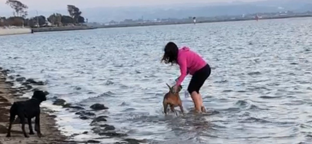 Jennericone's tweet image. Found a Needle in a Hay Stack... How about iPhone in the Ocean.. found my phone in Ocean after it fell out of my pocket, nearly 2 hours --- works great!! Still can't believe it!! Shout out to #iPhoneX  @Apple