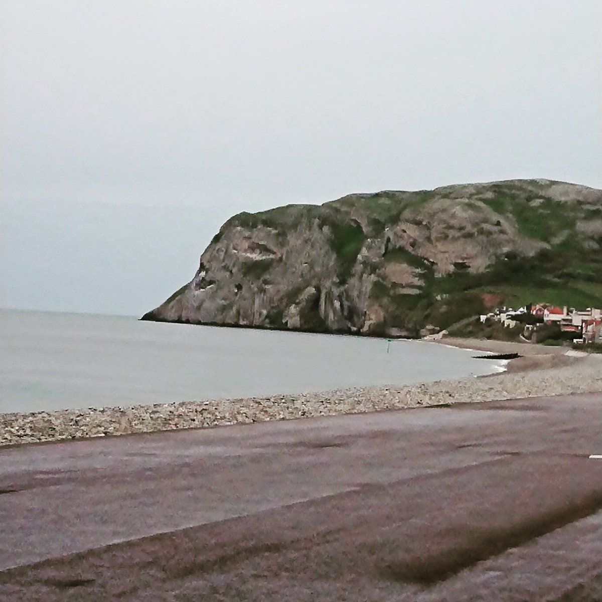 QueensLlandudno's tweet photo. Our Little Orme has been said to look like an Elephant taking a drink from the sea - can anyone see it? #littleorme #elephant #llandudno #canuseeit #Queenshotelllandudno https://t.co/yizRlA2HR6