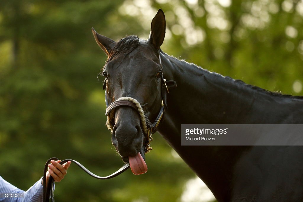 Michael Reaves (MichaelMReaves) Twitter